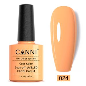 Гел лак Canni - 024