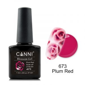 Canni - Blossom Gel ефект мокро в мокро - 673 Plum Red